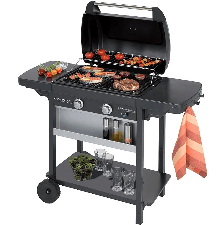 two burner bbq grill